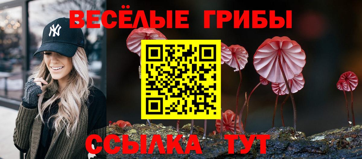 Галлюциногенные грибы GOLDEN TEACHER Великий Устюг