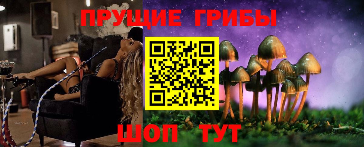 Великий Устюг  Псилоцибиновые грибы Magic Shrooms  Вход с VPN 